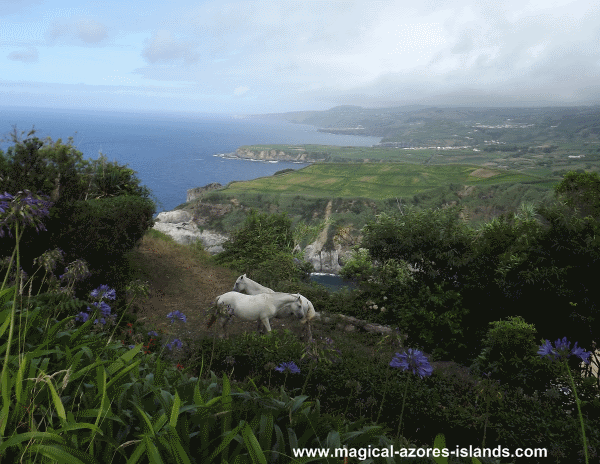 Santa Iria, Sao Miguel