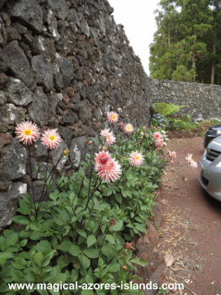 Pinhal da Paz parking lot Pinhal da Paz parking lot