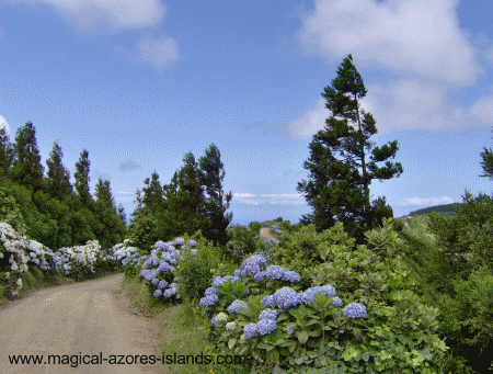 Azores road