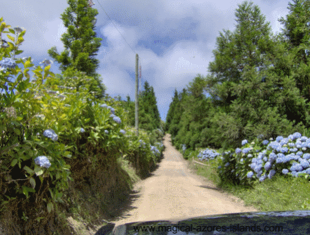 sete cidades road