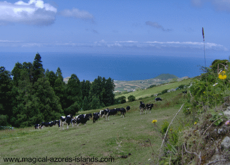 Azores coast