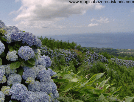 Azores coastline