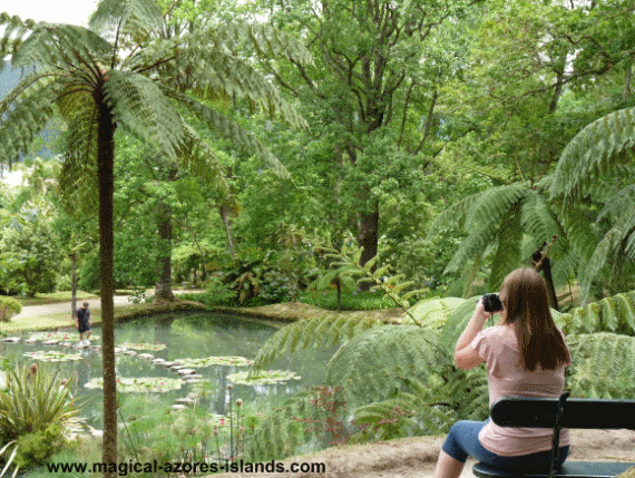 Parque Terra Nostra, Sao Miguel