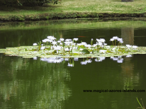 Terra Nostra Park