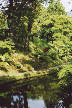 Terra Nostra Park, Sao Miguel Azores