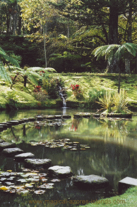 Terra Nostra Park, Sao Miguel Azores